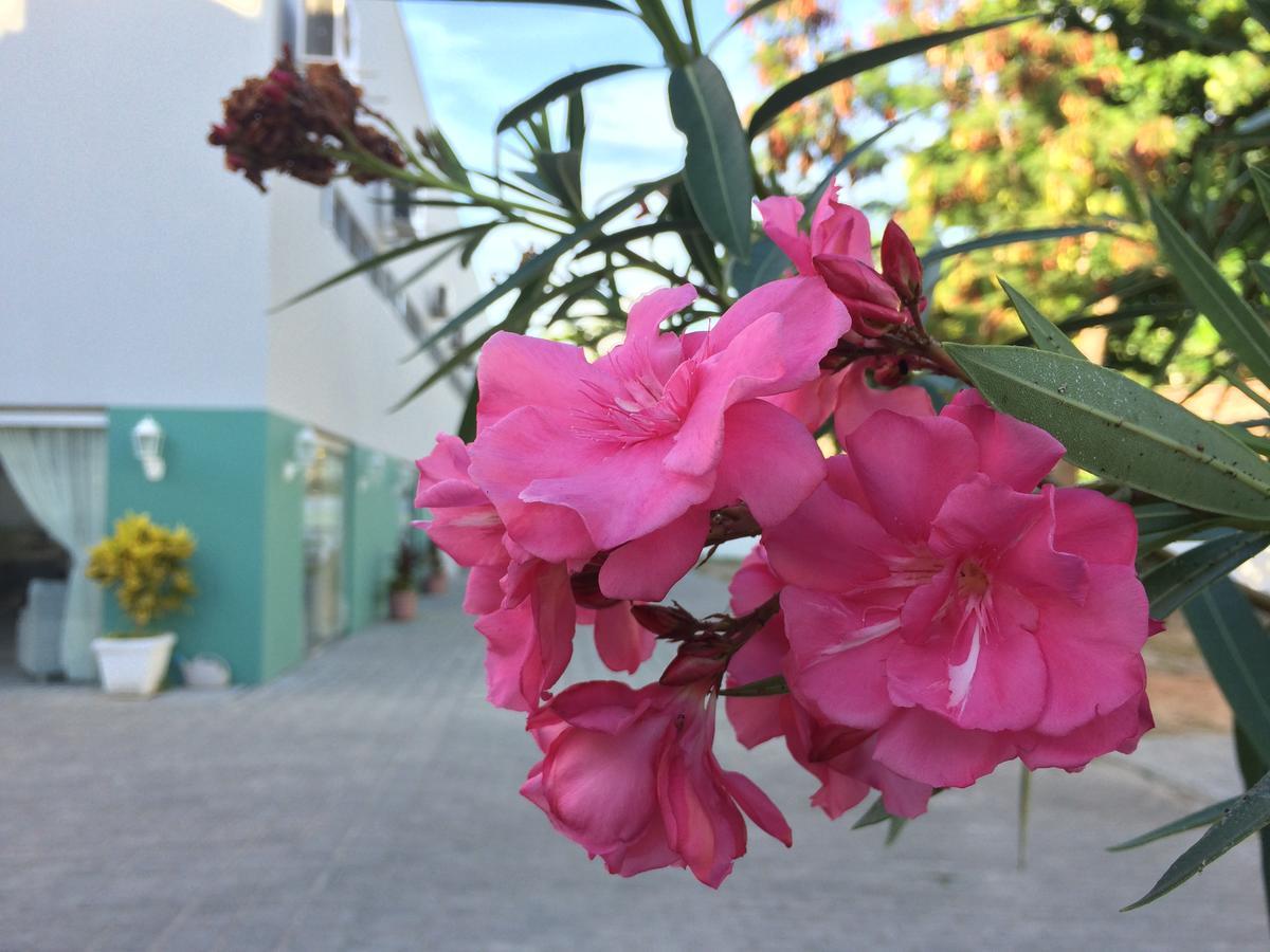 Scenarium Hotel Jaboatão dos Guararapes Exteriör bild